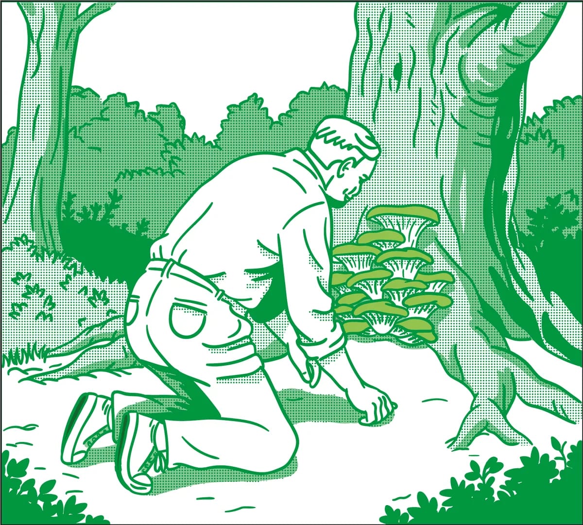 Historia, parte 1: Beto y su finca